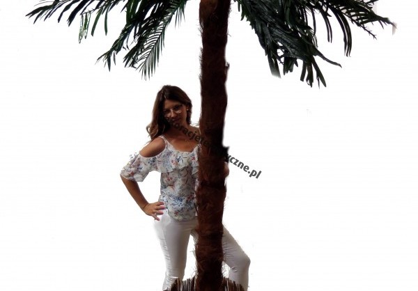 ,dekoracje Brazylia   
,scenografia Brazylia
,event tematyczny Brazylia  
,wieczór tematyczny Brazylia
,impreza tematyczna Brazylia 
,wieczór Brazylia 
,impreza Brazylia
,dekoracje brazylijskie 
,scenografia brazylijska
,wynajem dekoracji brazylijskich 
,wynajem scenografii brazylijskiej
,dekoracje w stylu brazylijskim
,wypożyczalnia dekoracji hawajskich
,wypożyczalnia rekwizytów hawajskich
,dekoracje hawajskie
,dekoracje na imprezę hawajską
,scenografia hawajska
,scenografia eventowa
,dekoracje imprezowe
,bar hawajski
,wynajem palm
,palmy do wynajmu
,palmy na wynajem
,sztuczne palmy do wynajmu
,wynajem sztucznych palm
,zestaw dekoracji hawajskich
,impreza hawajska wystrój 
,wystrój impreza hawajska
,wystrój impreza brazylijska
,wypożyczalnia dekoracji warszawa
,wypożyczalnia scenografii warszawa
,wypożyczalnia dekoracji kraków
,wypożyczalnia scenografii kraków
,wypożyczalnia dekoracji i scenografii
,posąg chrystusa wynajem
,chrystus z rio wynajem 
,posąg z rio wynajem
,jezus z rio wynajem                             